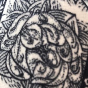 Meet your Posher, Avie